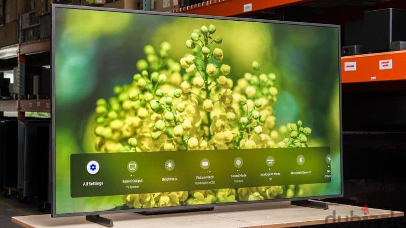 • Experience Art & Luxury – Samsung The Frame 65” 1