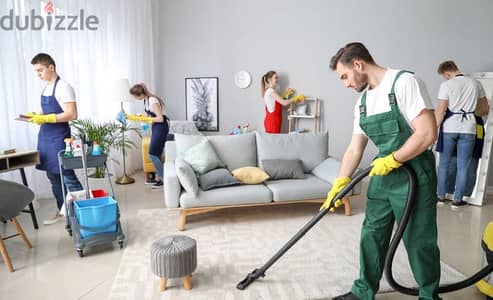 deep cleaning service apartment flat