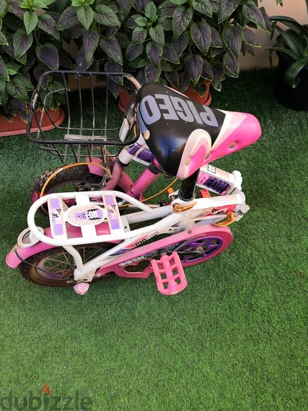 Branded pigeon bike 1