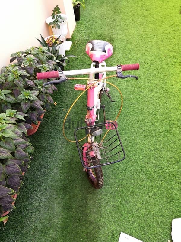 Branded pigeon bike 2