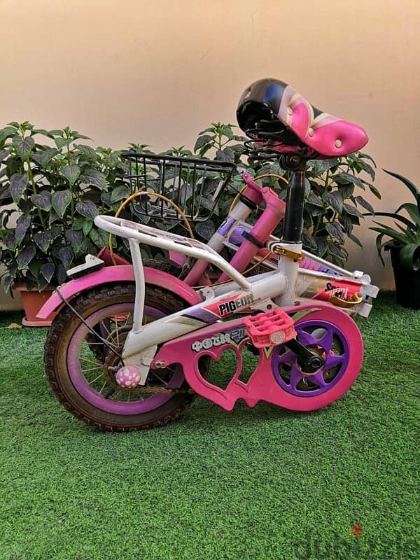 Branded pigeon bike 3