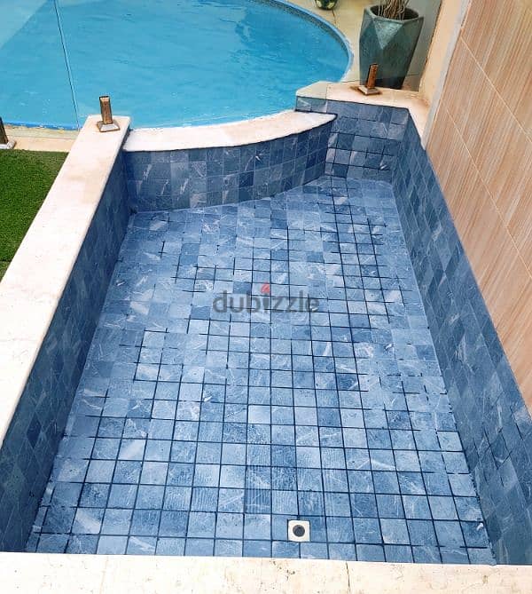 Pool clean 11