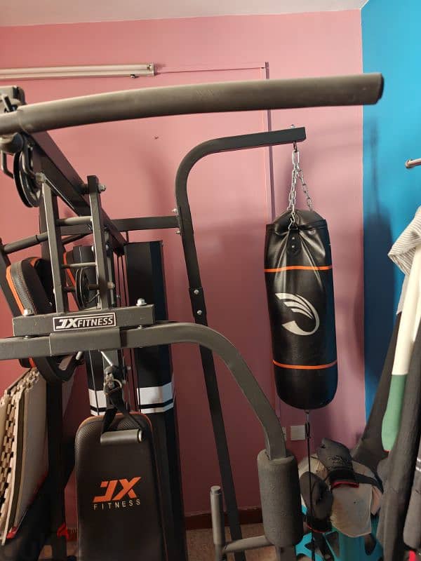JX Fitness Full Gym Equipment 2