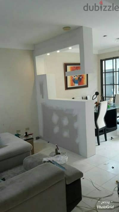 Partitions: Expert Gypsum Work & High-End Paint Finishes