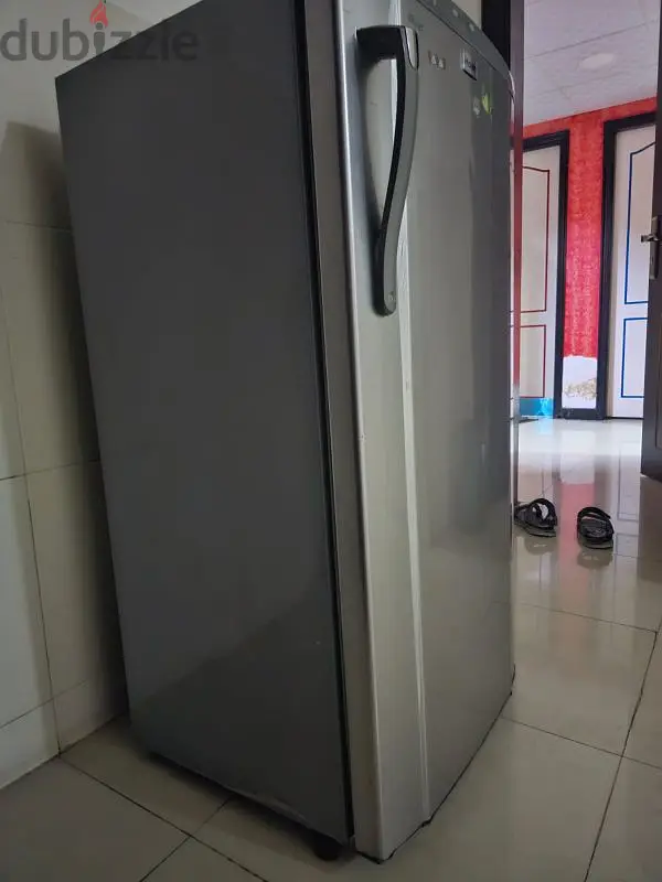 Fridge for Sale - medium Size - expat leaving64846177579265123