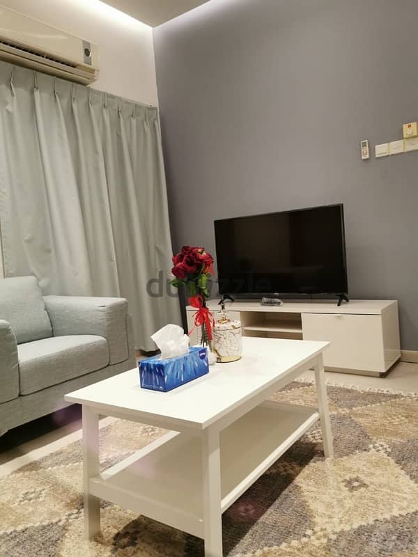 Furnished appartment near city centre 1