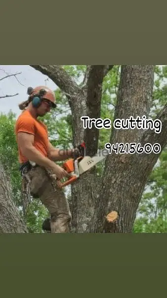 We do all kinds of Plants & Tree cutting trimming Rubbish Disposal
