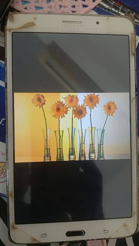 Samsung Tab Sm-231 3