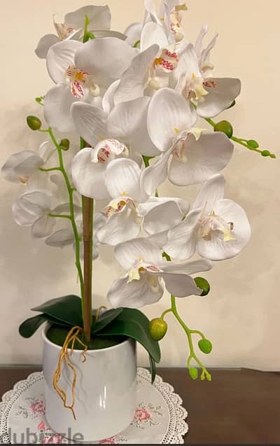 Flower Vases - 3 Rials EACH
