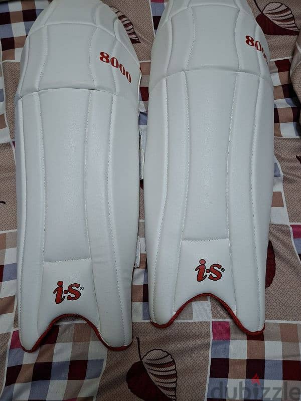 Cricket Kit for Teens and Adults 8