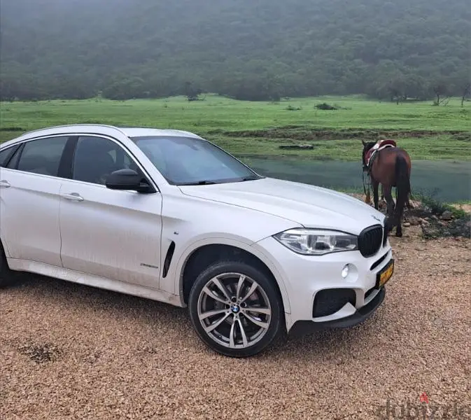 BMW X6 201665513371203714121