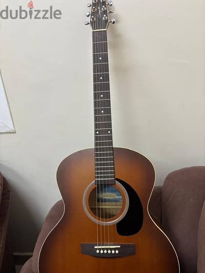 Seagull Entourage Mini Jumbo Rustic Guitar