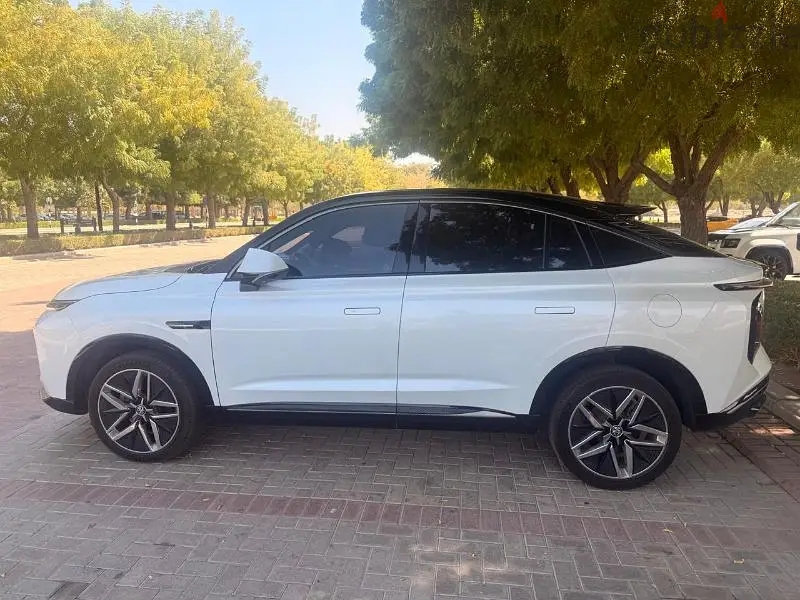 MG أخرى 202465558480705027127