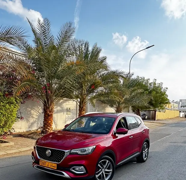MG HS 202065596868430210126