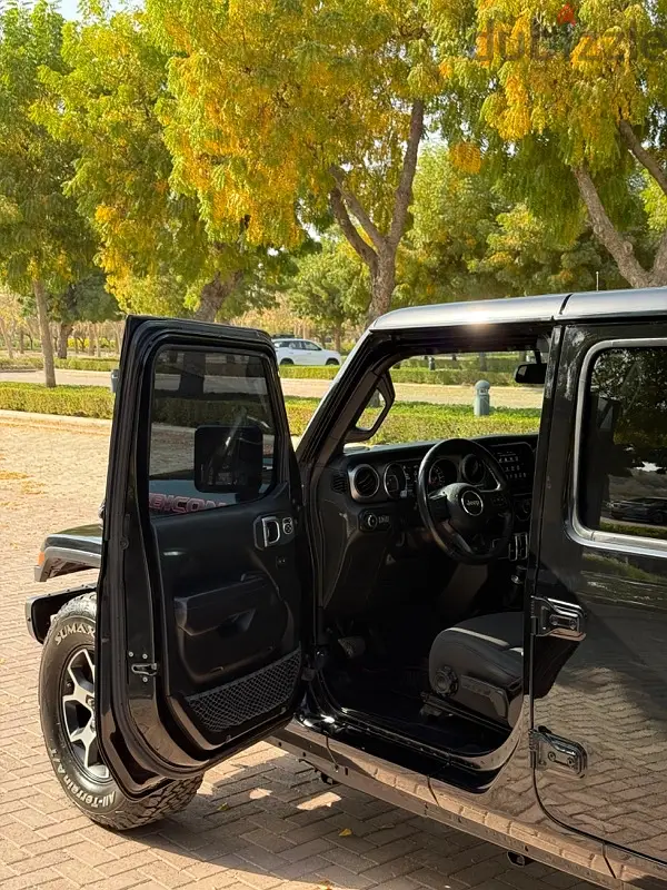 Jeep Renegade 202065596867720962127