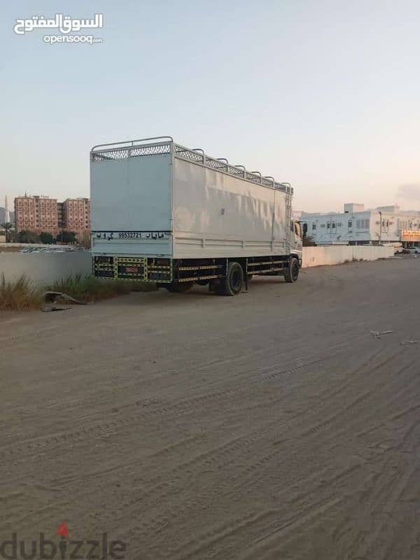 professional house sfhting available all Oman 6