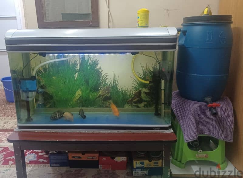 Full set aquarium with fish for sale 2