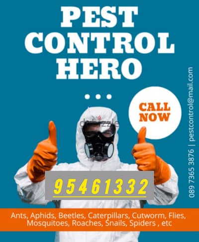 Pest Control service for Insects Cockroaches Besdbugs Spider Ants Lizard