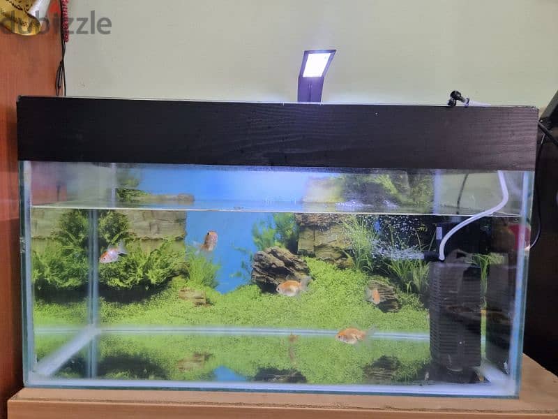 Fish tank 1