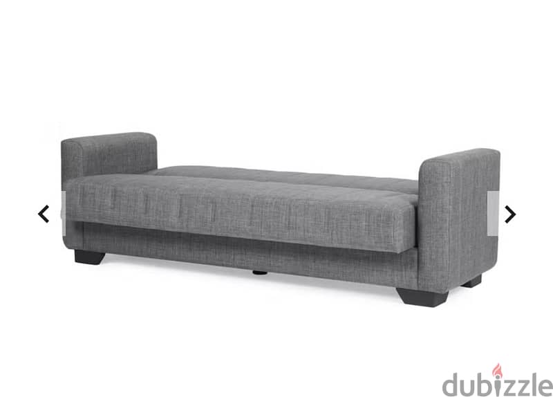 Sofa Cum Bed 2