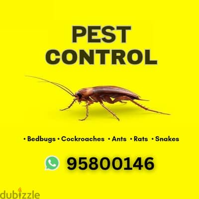 Pest Control Service | Bed Bug Cockroach Rat Treatment Sprayer