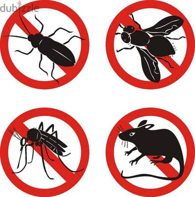 Pest Control | Insect Treatment Service