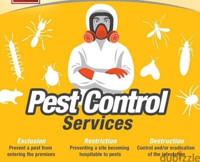 Pest Treatment ،Bedbugs, Cockroaches,Flys, Rats, Insects