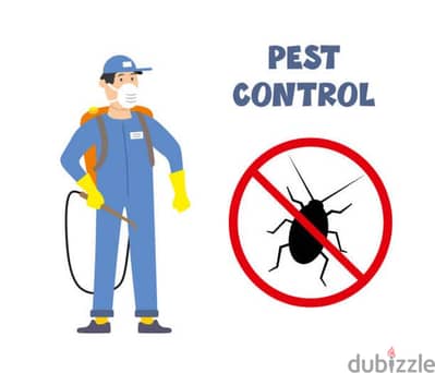 Pest control services available, Bedbugs ,rats insect Killer medicine,