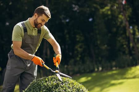 Garden maintenance ,Cleaning , Natural Soil, Fertilisers , Artificial Grass, Plant Tree Trimming