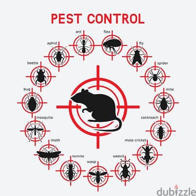 Pest control work in Muscat,Bedbugs Insect , Rats  , Lizards  , Cockroaches  ,fly