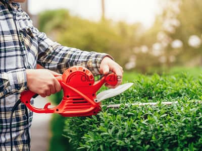 Garden Maintenance Tree Trimming cutting cleaning natural soil and fertilisers