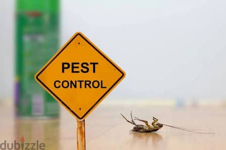 Pest Control Experts in Oman – Safe, Fast & Guaranteed Results