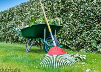 Garden Maintenance, Tree Cutting, Artificial Grass & Lighting – Muscat