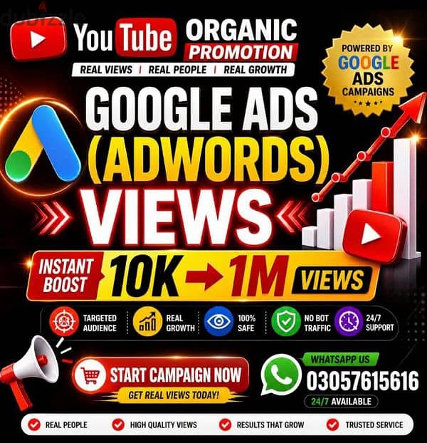 Business Accounts Promotor/Social Media Accounts Handler 1
