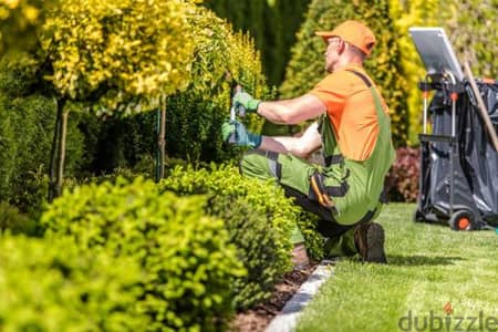 Garden maintenance and cleaning tree cutting trimming Shaping, Soil