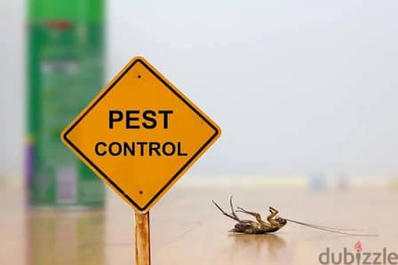 Pest Control service, Bedbugs treatment through spraying, Cockroaches