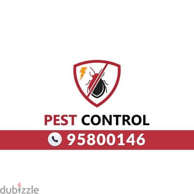 Pest Control service in Muscat, Indoor Outdoor treatment