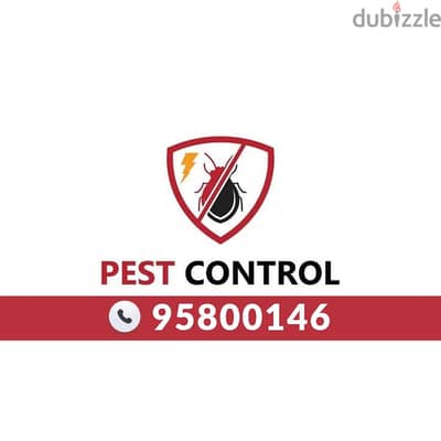 Professional Pest Control service in Muscat, Bedbugs Cockroaches Rats