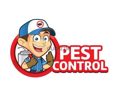 Pest Control service Bedbugs treatment through spraying,