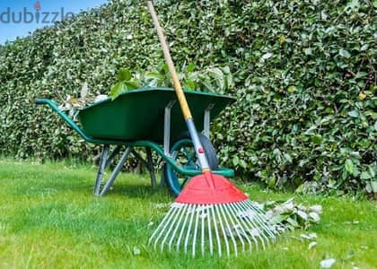 Garden maintenance and cleaning, Tree Trimming Cutting