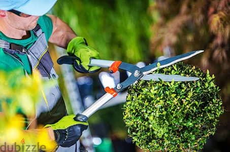 Professional Lawn maintenance, Tree Trimming Cutting, Artificial Grass