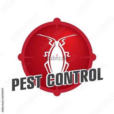 Pest Control Services – Expert Team & Guaranteed Results Muscat