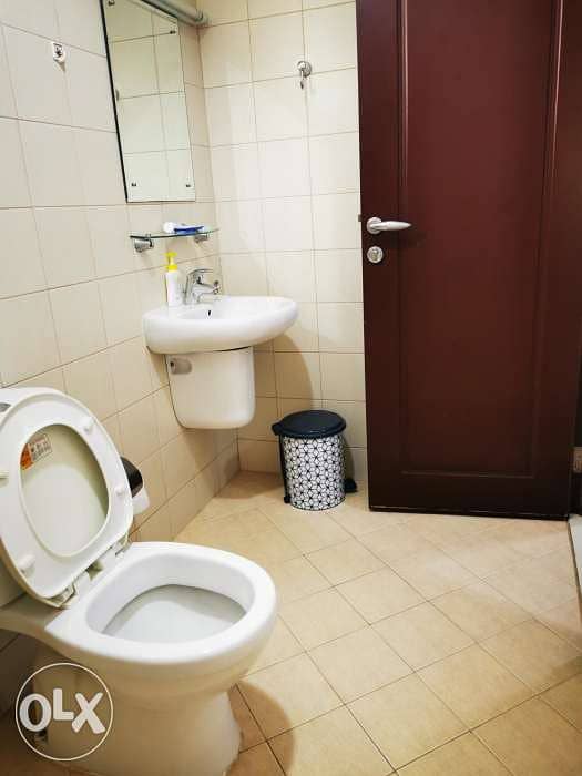 Astonishing Furnished Penthouses 4