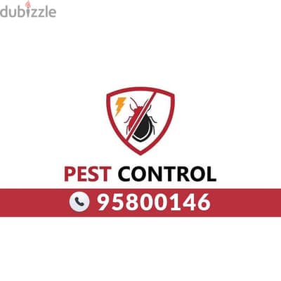 Cockroach Control Muscat – Bed Bug & Pest Spray Treatment