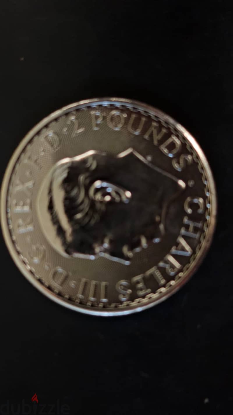 Britannia Fine Silver coin 1Oz 1