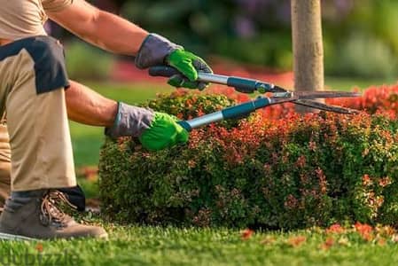Lawn Care maintenance Tree Trimming Cutting Artificial grass pebbles