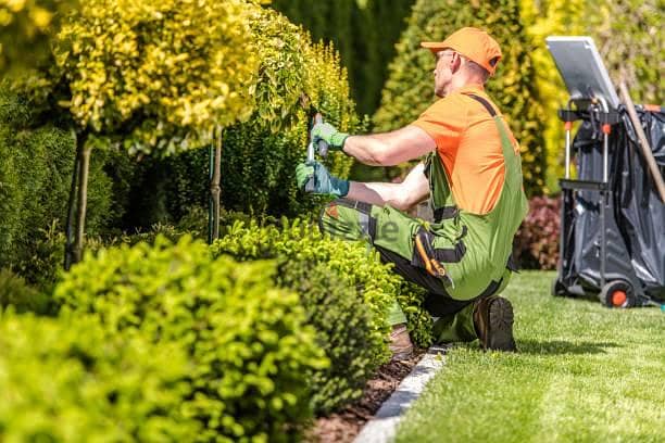 Lawn Care maintenance Tree Trimming Cutting Artificial grass pebbles 1