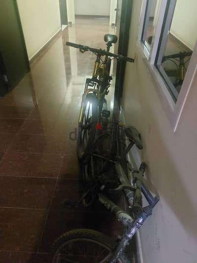bicycles
