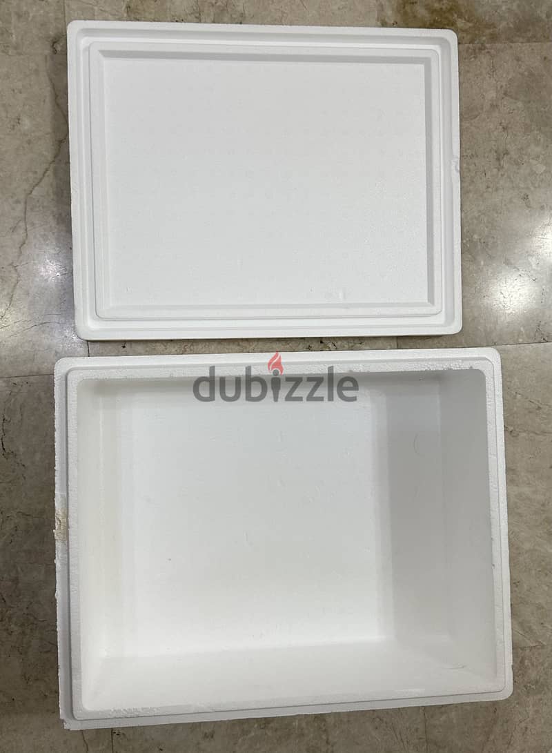 Thermal Ice Box 3