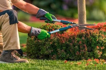 Lawn Care,Tree Trimming Shaping, natural Soil & Pebbles available,